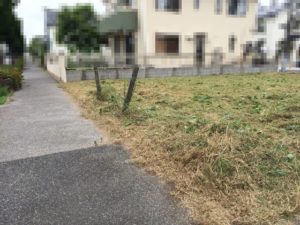 草刈り作業の様子